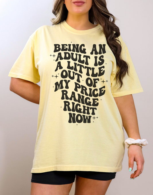 Being An Adult Is Out Of My Price Range Right Now T-Shirt