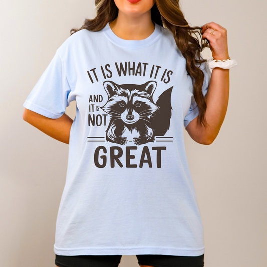 It Is What It Is And It's Not Great Shirt
