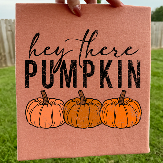 Hey There Pumpkin Shirt